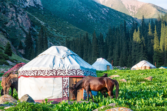 Kyrgyzstan iconic picture. Traditional Kyrgyz yurts with horses in a scenic mountains landscape. Altyn Arashan valley, Karakol city. Nomadic traditions