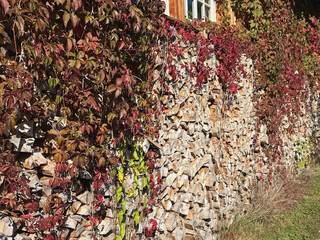 Fassade aus Holzscheiten überwachen mit wildem Wein