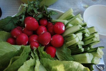 A close-up of a fresh and healthy vegetable platter served in a white bowl as a raw appetizer or side dish. The arrangement includes whole red radishes, sliced cucumbers, and crisp green lettuce
