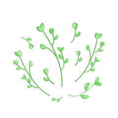 Fresh microgreen leaves. Flat vector illustration. Sprouts arugula, radish, fenugreek, sunflower isolated on white background. Sprouting seeds of a plant. Vitamin supplement, vegan food.
