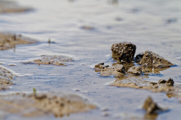 Rural clay lane with wet chunks and a wide glassy puddle ahead.