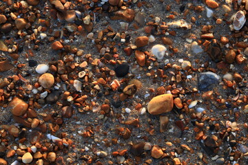 Wet multi-colored sea stones on the shore at sunset, background and texture of natural materials, close-up