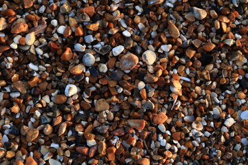 Wet multi-colored sea stones on the shore at sunset, background and texture of natural materials, close-up