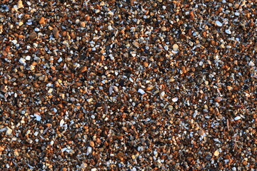 Wet multi-colored sea stones on the shore at sunset, background and texture of natural materials