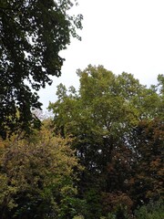 Obraz premium Beautiful nature photos