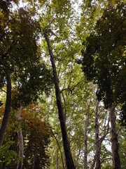 Fototapeta premium Beautiful nature photos
