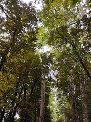 Beautiful nature photos