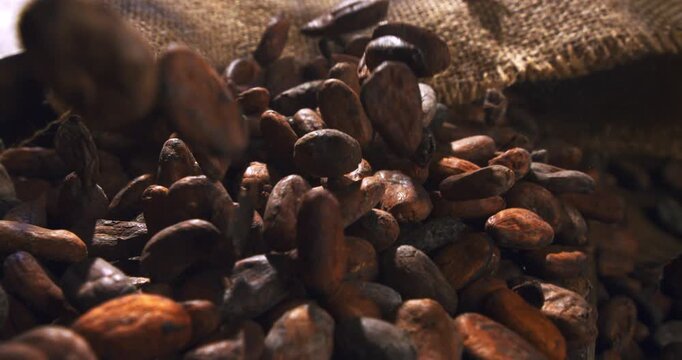 Slow Motion of Raw Cacao Beans Falling Gracefully on Rustic Burlap, Highlighting Natural Texture, Organic Harvest and Earthy Aroma in Warm Light for Chocolate Production at 1000 fps.