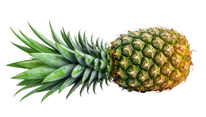 shot presents a whole pineapple with its green spiky leaves extending towards the left, while its textured body transitions from green to yellow hues, all set against a stark black background.