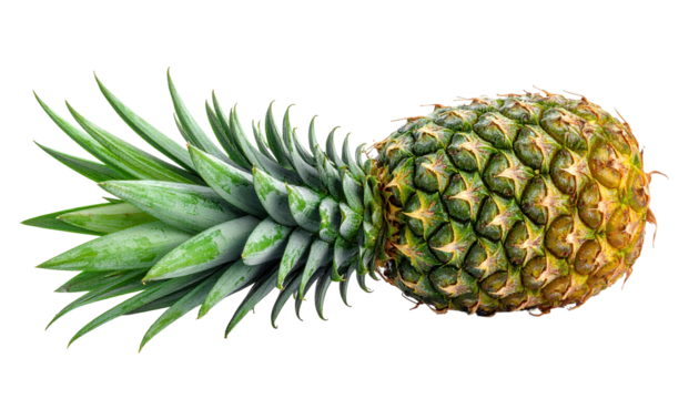 shot presents a whole pineapple with its green spiky leaves extending towards the left, while its textured body transitions from green to yellow hues, all set against a stark black background.