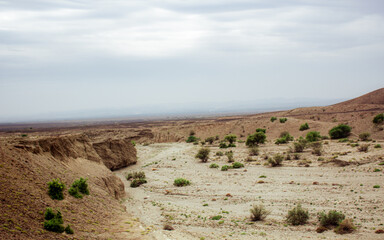 Vast arid desert landscape with rugged canyon, sparse green bushes, and distant hazy mountains under an overcast sky, evoking a sense of isolation and natural beauty.