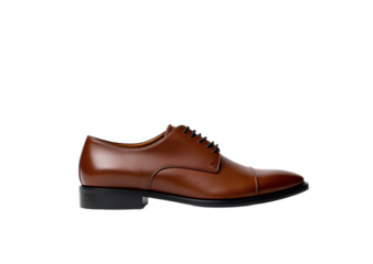 Brown Leather Oxford Shoe