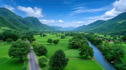 Obraz premium Lush Green Rice Terraces and River Valley Under Bright Blue Sky Scenic Landscape with Mountains and Verdant Trees and Road