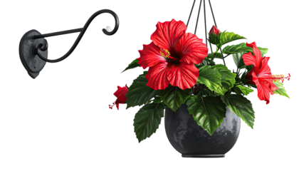 Dark-background digital illustration.  Red hibiscus flowers in a hanging pot.  Black metal wall mount