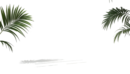 Tropical leaves frame a smooth, light gray surface