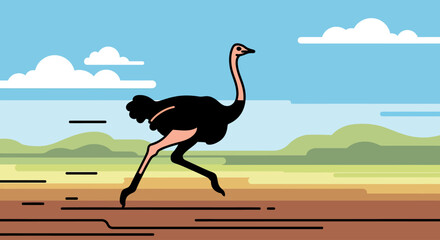 ostrich in the desert