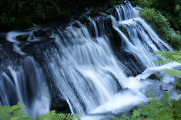 Fototapeta premium 清流