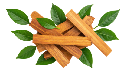 Wooden sticks surrounded by fresh leaves