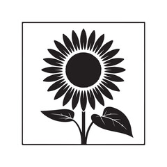 Fototapeta premium sunflower on a black background