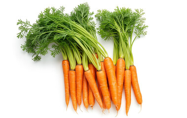 carrots on a white background