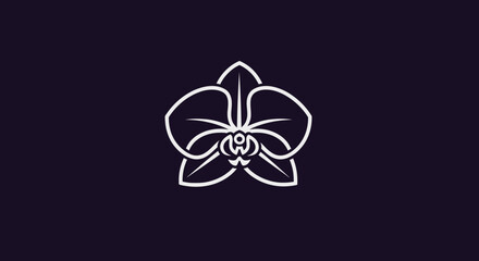 Elegant minimalist orchid flower line art design. © Tawang