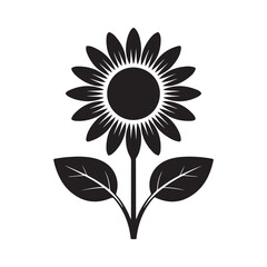 sunflower vector illustration. Botanical Blossom Illustration in Black and White