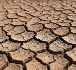 dry cracked ground