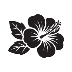 black and white flower isolated