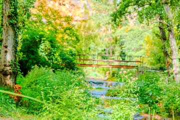 Preciosa ruta botánica de la torrecilla  © David