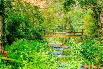 Preciosa ruta botánica de la torrecilla  © David