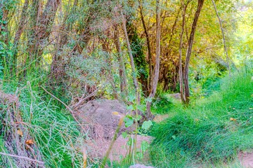 Preciosa ruta botánica de la torrecilla  © David