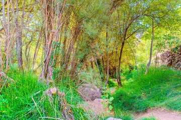 Preciosa ruta botánica de la torrecilla  © David