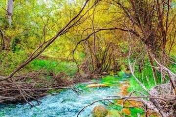Preciosa ruta botánica de la torrecilla  © David