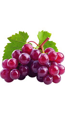 Fototapeta premium Close-up of a bunch of deep purple grapes on a stem with leaves