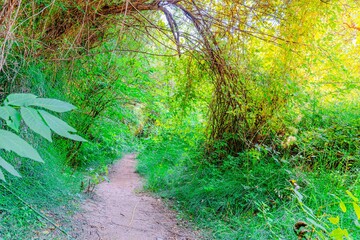 Preciosa ruta botánica de la torrecilla  © David