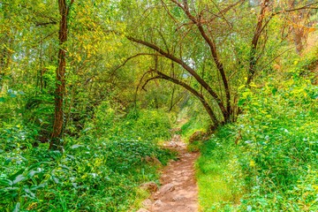 Preciosa ruta botánica de la torrecilla  © David