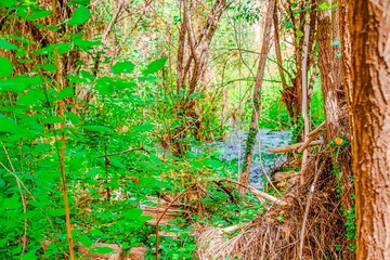 Preciosa ruta botánica de la torrecilla  © David