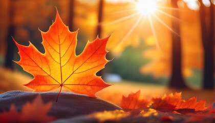 Vibrant Maple Leaf In Nature Seasonal Decor Cozy Fall Vibes