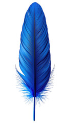 Vibrant deep blue feather, detailed vaned structure, intricate texture, against black backdrop