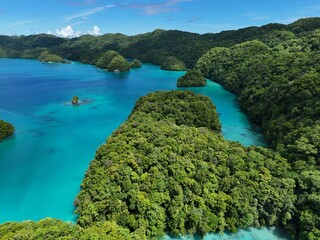Aerial view of turquoise lagoon and lush tropical islands on Ngeruktabel Island, Palau. Scenic landscape of Milky Way Lagoon and Chelbacheb Islands national park in the Pacific Ocean. © 柏昱 李