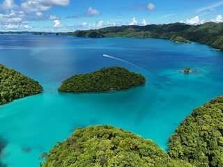 Aerial view of tropical islands and turquoise lagoon near Milky Way Lagoon, Ngeruktabel Island, Palau. Scenic drone landscape of Chelbacheb Islands national park in the Pacific Ocean. © 柏昱 李