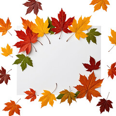 Fototapeta premium Colorful maple leaves frame a blank white square, autumn aesthetic