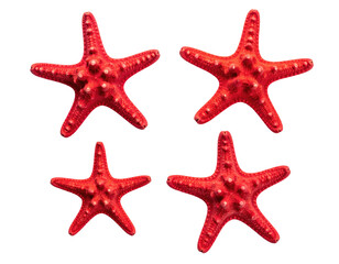 Four vibrant red starfish, arranged in a grid pattern against a black background.  Each starfish has a textured surface