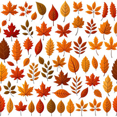 Obraz premium Vibrant assortment of autumn leaves in various shapes and shades