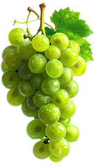 Close-up of a bunch of vibrant green grapes