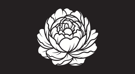 Elegant Peony Flower Blossom Outline Drawing.