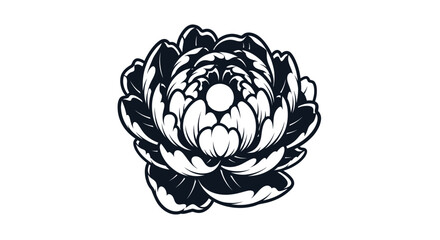 Monochrome Peony Blossom: A Detailed Botanical Illustration.