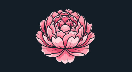 Elegant hand drawn pink peony flower illustration.