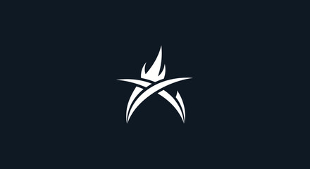 Stylized Flame Star Logo: A Symbol of Passion and Innovation.
