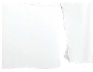 Two torn pieces of white paper